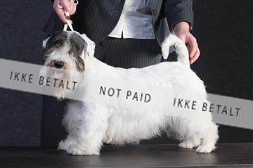 132082_le_ 01_IMG_0333.JPG