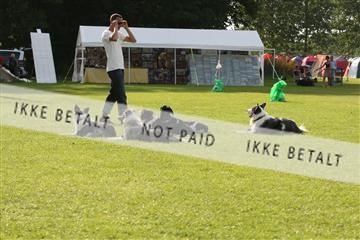 130370_le_02_IMG_7949.JPG