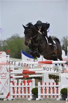 139644_abo_06__AB10077.JPG