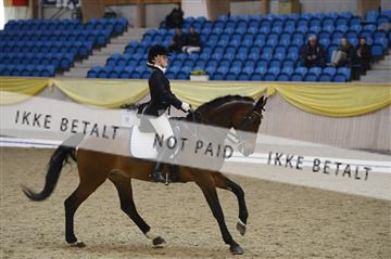 139403_ms_01__MS18049.JPG