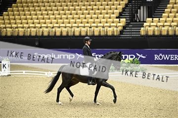 182194_kbb_01_Z095449.JPG
