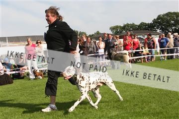 130370_se_02_IMG_6645.JPG