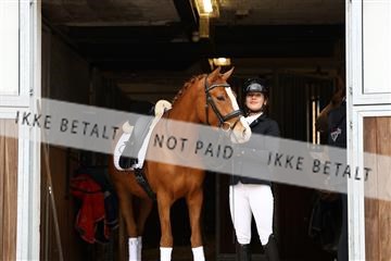 181243_avh_01_1691 (1).JPG