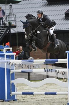 139644_abo_11__AB11463.JPG