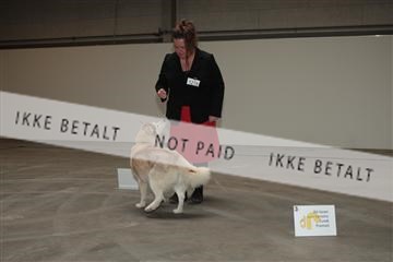 133496_tl_01_IMG_1710.JPG