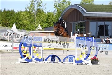 181436_avh_02_3969.JPG
