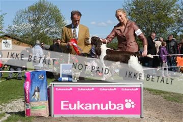 134871_ms_02_IMG_3901.JPG