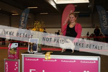 133496_ms_01_IMG_9194.JPG