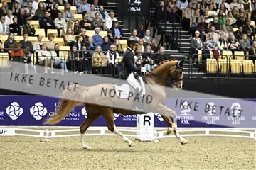 182194_kbb_03_Z092029.JPG