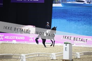 182194_avh_07_4443.JPG
