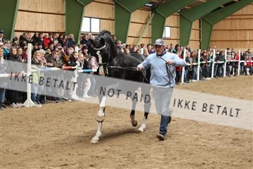 139265_kl_1_8M1Q6250.JPG