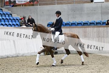 182241_kbb_01_Z094885.JPG