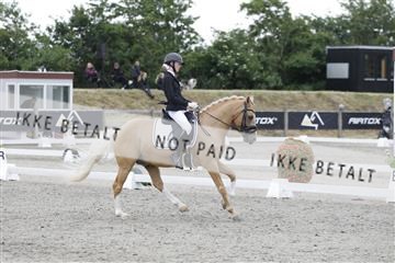 166078_rhj_01__J7R3602.JPG