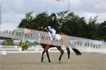 156196_nn_01_IMG_5710.JPG