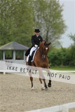 139835_sg_03_IMG_9116.JPG