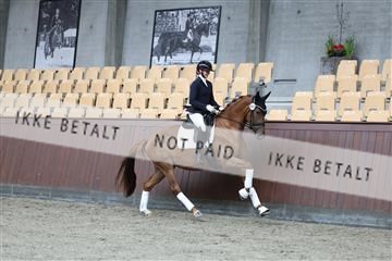 181852_mtp_01_R62_1504.JPG