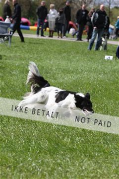 134871_ms_04_IMG_0051.JPG