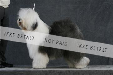 5493_sme _02__MG_9701.JPG