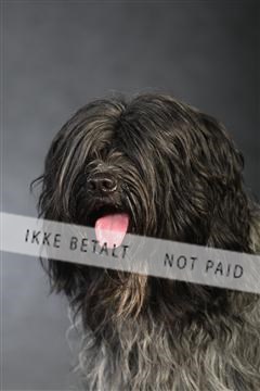 132082_le_ 01_IMG_0977.JPG