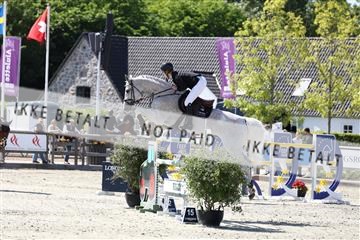 181436_avh_03_4818.JPG