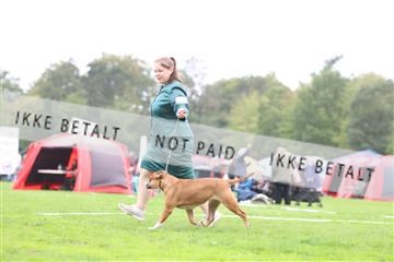 182009_rin_01_R62_5503.JPG