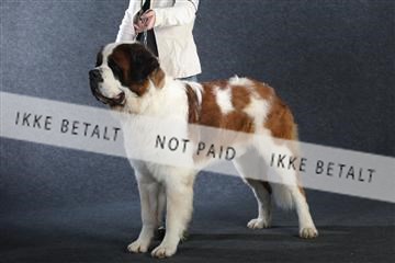 132082_le_ 01_IMG_0751.JPG