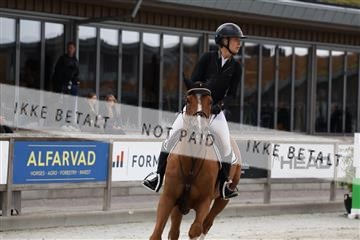 181922_avh_04_2160.JPG