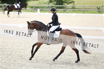 172030_mtp_01_3M5A1927.JPG