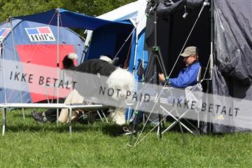 134871_ms_04_IMG_0054.JPG
