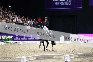 182194_avh_07_3828.JPG
