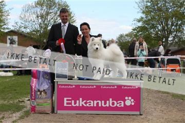 134871_ms_04_IMG_0425.JPG