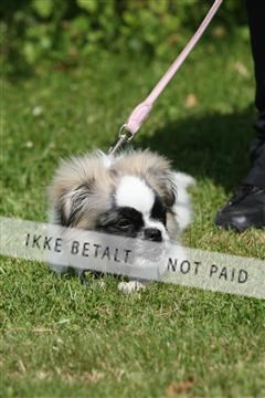 130370_se_02_IMG_6046.JPG