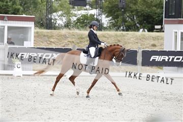 166078_rhj_01_166078_rhj_01__J7R1826.JPG