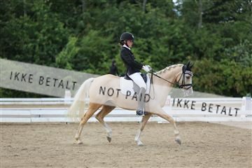 156196_nn_01_IMG_6452.JPG