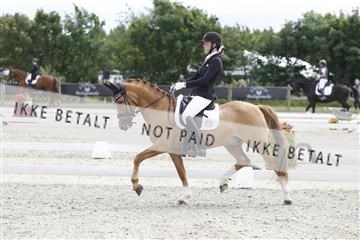 166078_rhj_01__J7R2437.JPG