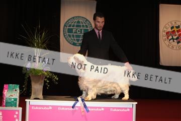 126827_tl_02_IMG_2954.JPG