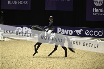 182194_kbb_01_Z095947.JPG