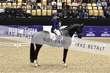 182194_kbb_03_Z091361.JPG
