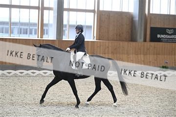 182176_kbb_01_Z092692.JPG