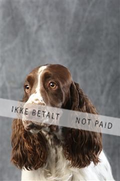 129608_le_ 01_0534.JPG