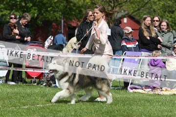 134871_ms_04_IMG_0732.JPG