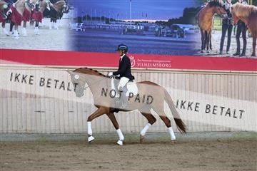 181887_mtp_02_R62_7433.JPG