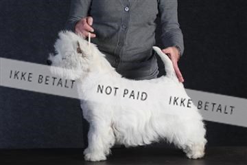 132082_le_ 01_IMG_0407.JPG