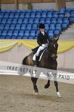 139403_ms_01__MS18283.JPG