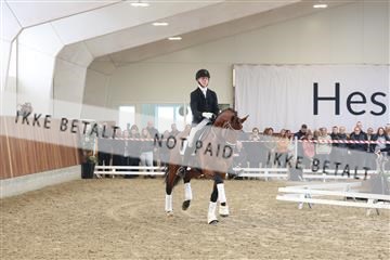 174363_kbb_01_R6II8084.JPG
