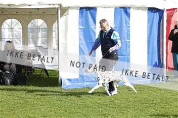 182009_kar_01__62_6977.JPG