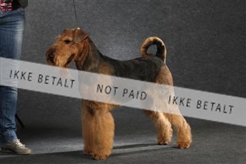 132082_le_ 01_IMG_0429.JPG