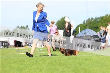 181564_rin_02_R62_1187.JPG