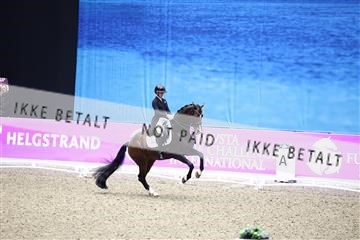 182194_avh_05_2327.JPG