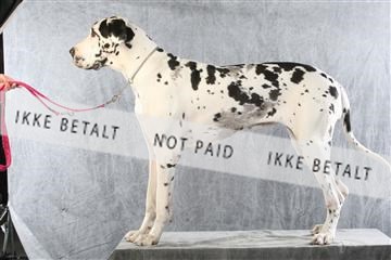 129608_le_ 02_0306.JPG